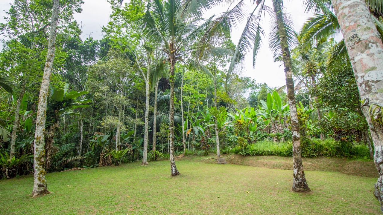 Photo of Outdoor in Wongaya Gede