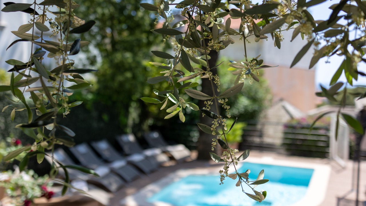 Photo of Outdoor in Cimiez