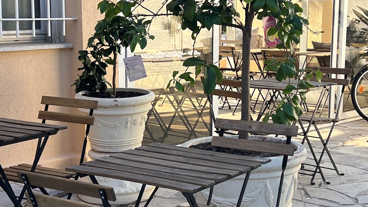 Photo of Outdoor in California - Pezou