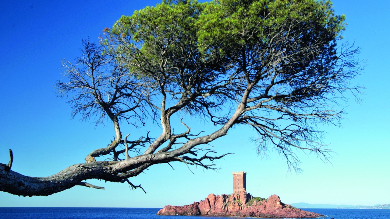 Photo of Outdoor in Saint-Raphael