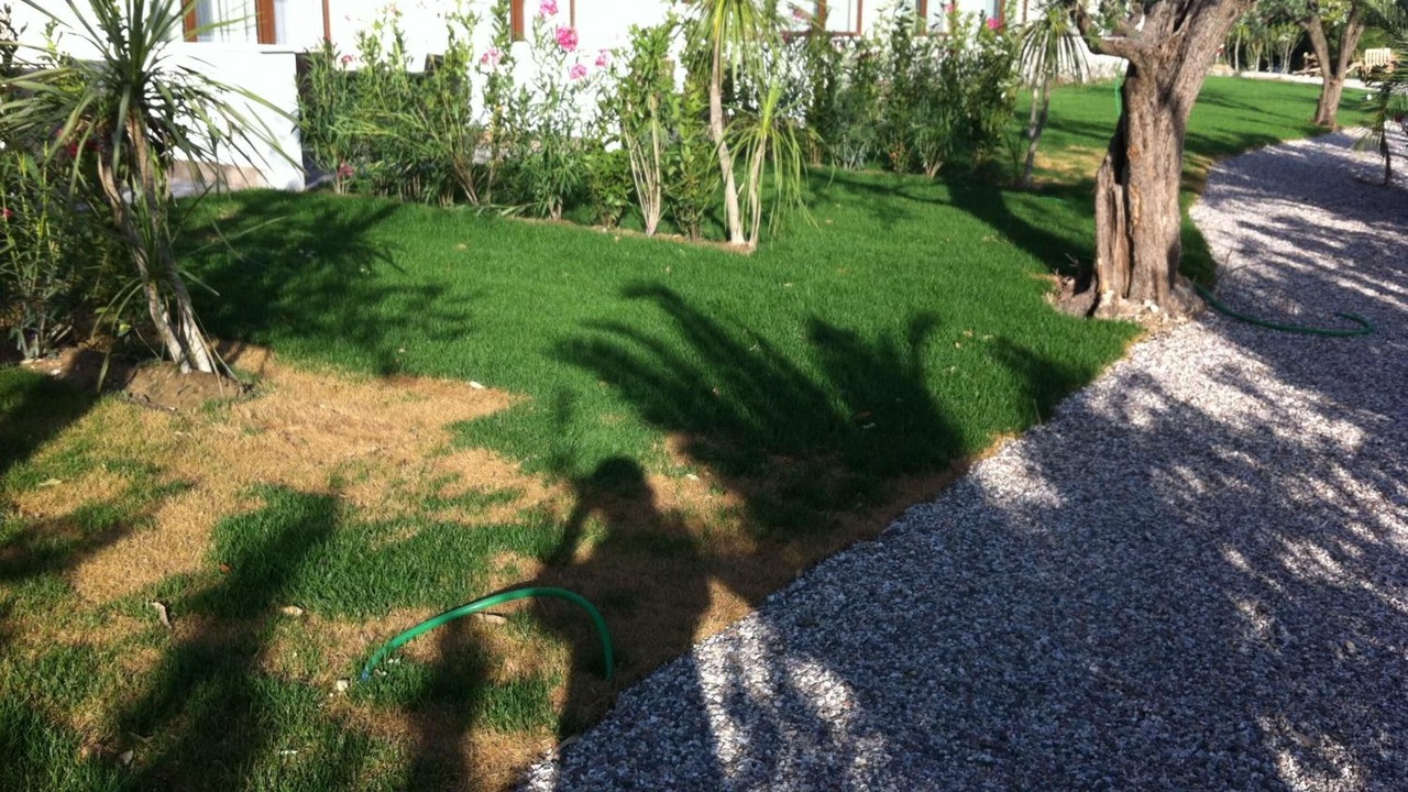 Photo of Outdoor in Cavaion Veronese