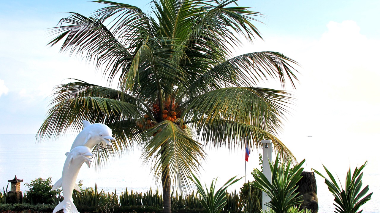 Photo of Outdoor in Bondalem