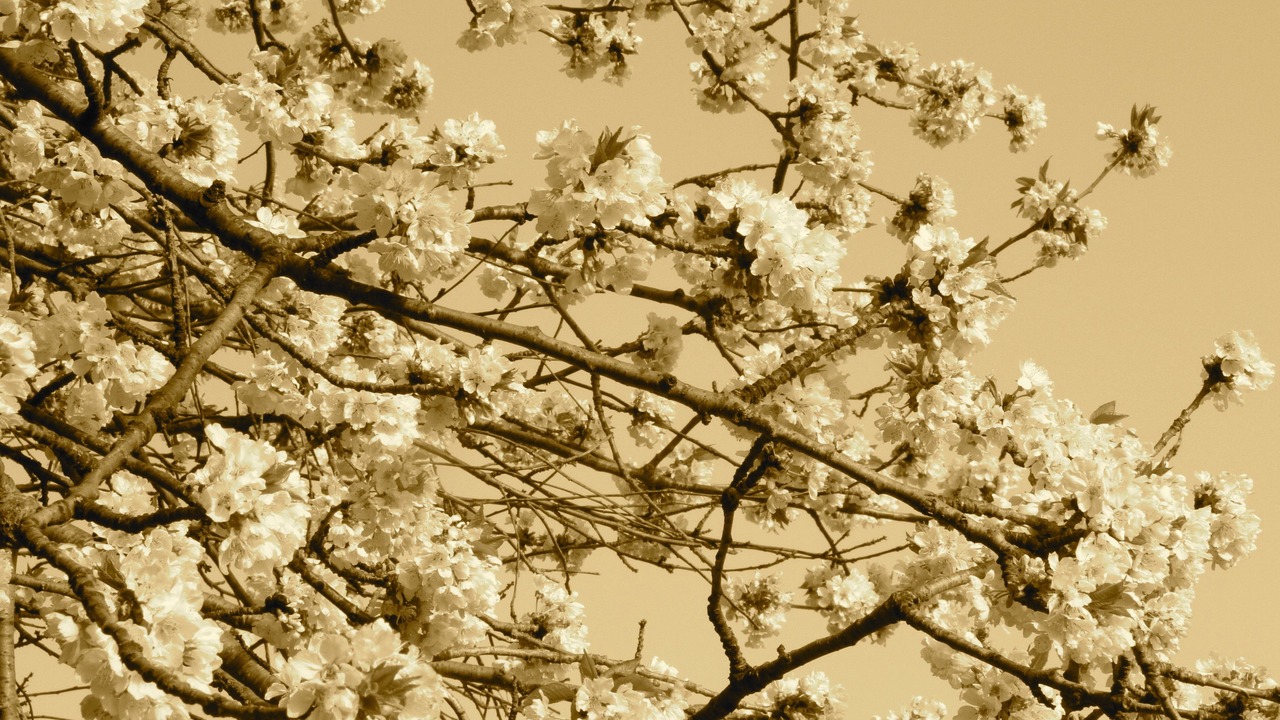 Photo of Outdoor in Peille
