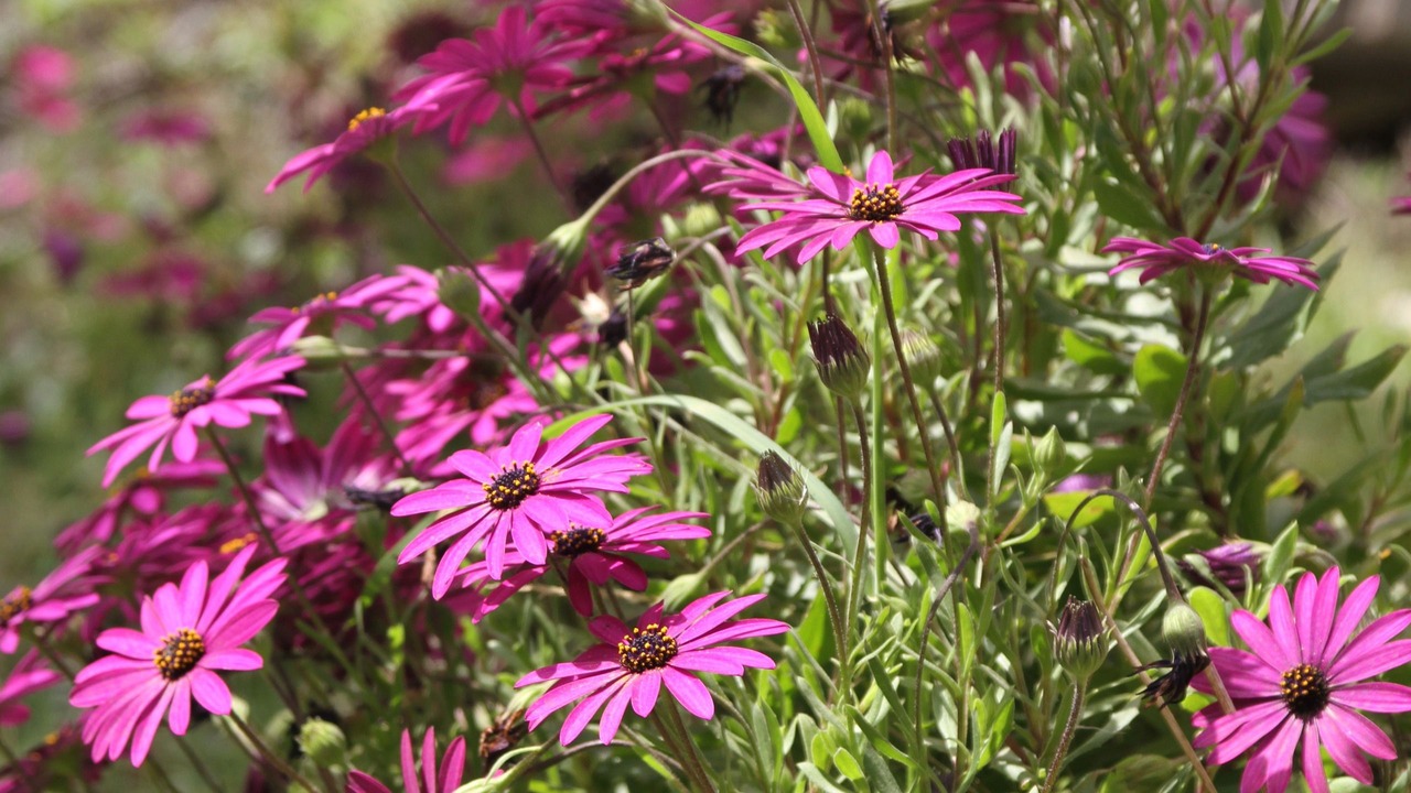 Photo of Outdoor in Peille