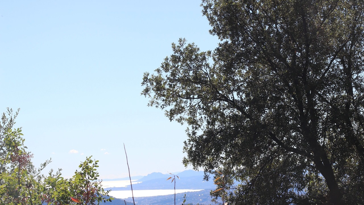 Photo of Others in Peille