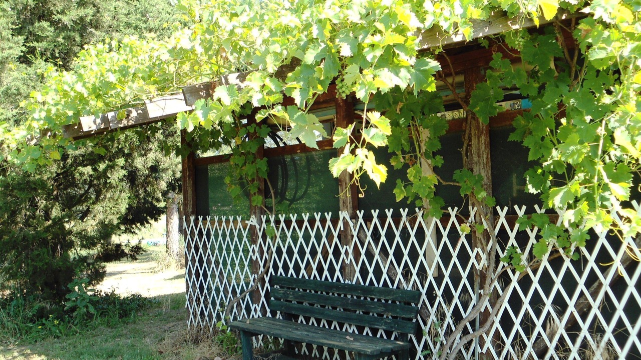 Photo of Outdoor in Civitella Paganico