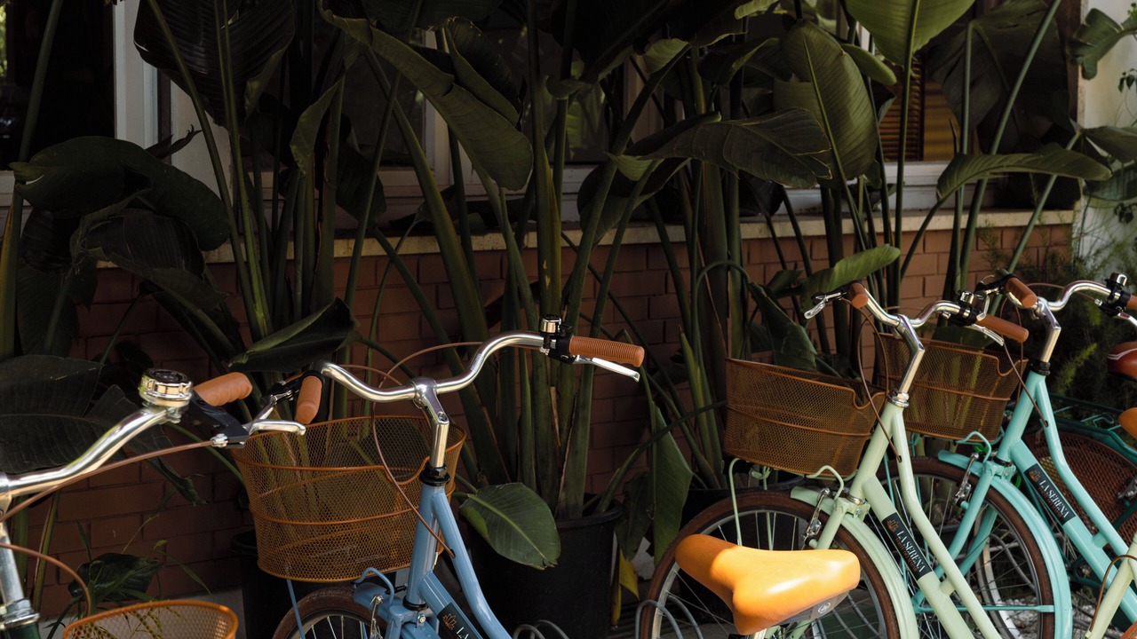 Photo of Outdoor in Forte dei Marmi