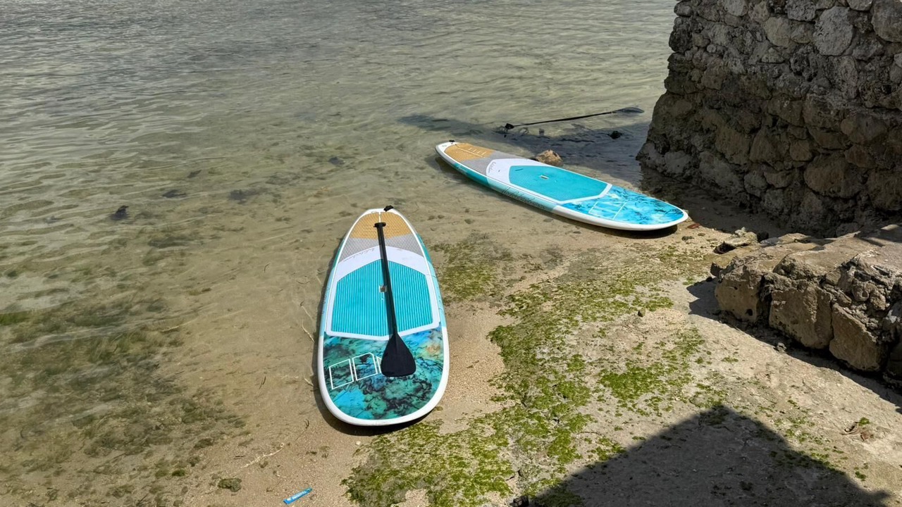 Photo of Others in Mushroom Bay