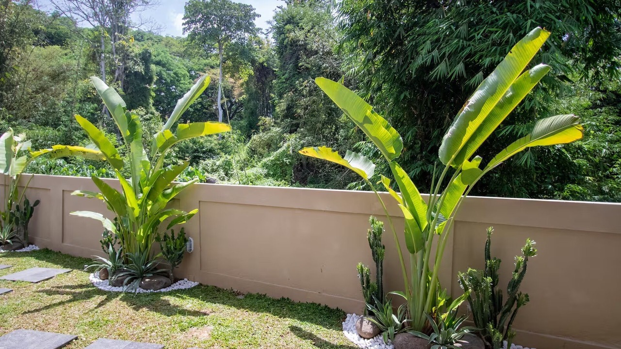 Photo of Outdoor in Banjar Semer