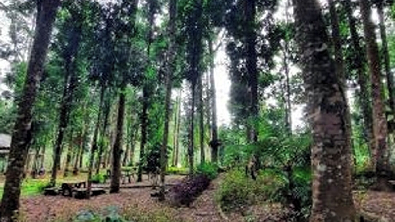 Photo of Outdoor in Pasirjambu
