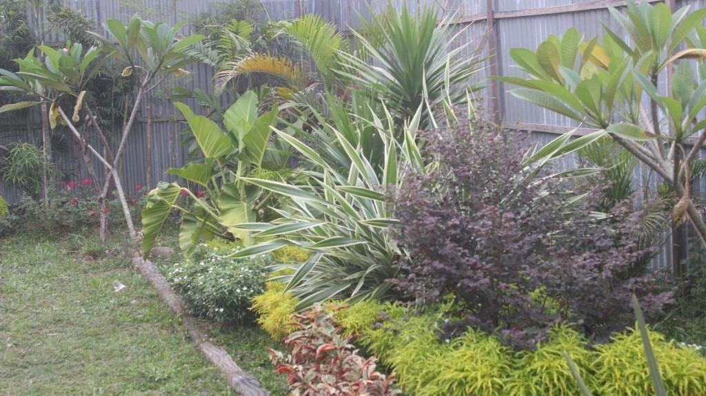 Photo of Outdoor in Medan
