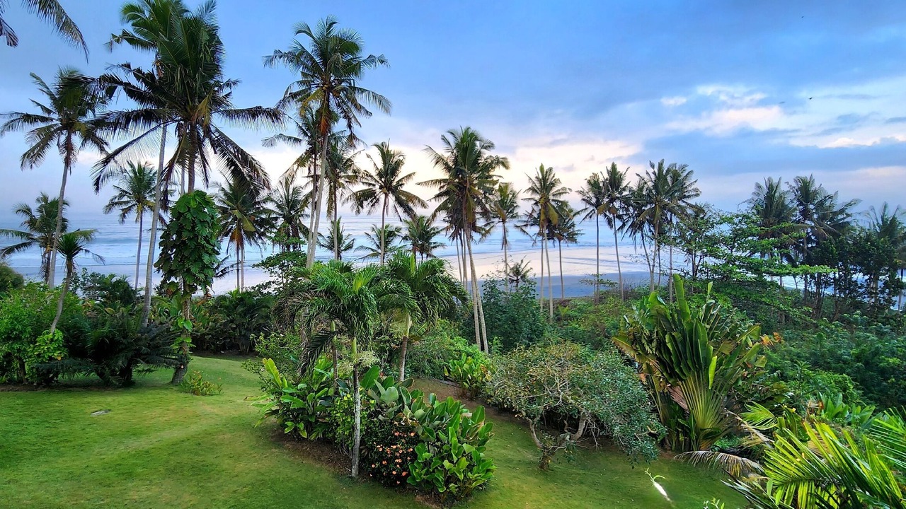 Photo of Outdoor in Selemadeg