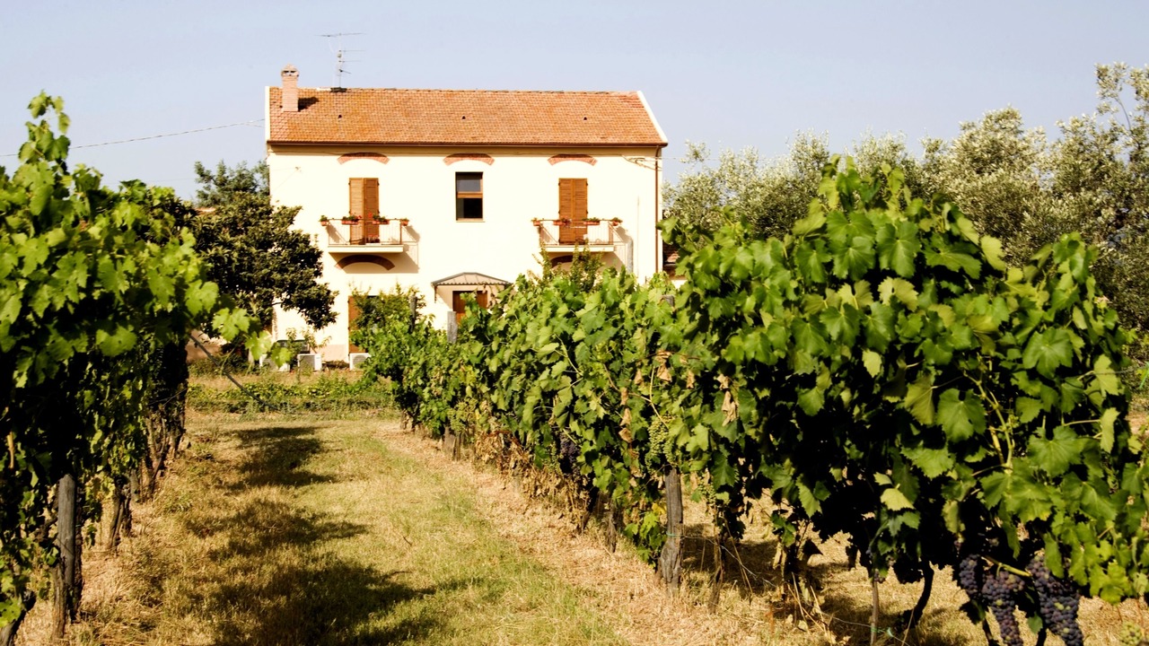 Photo of Outdoor in Alberese
