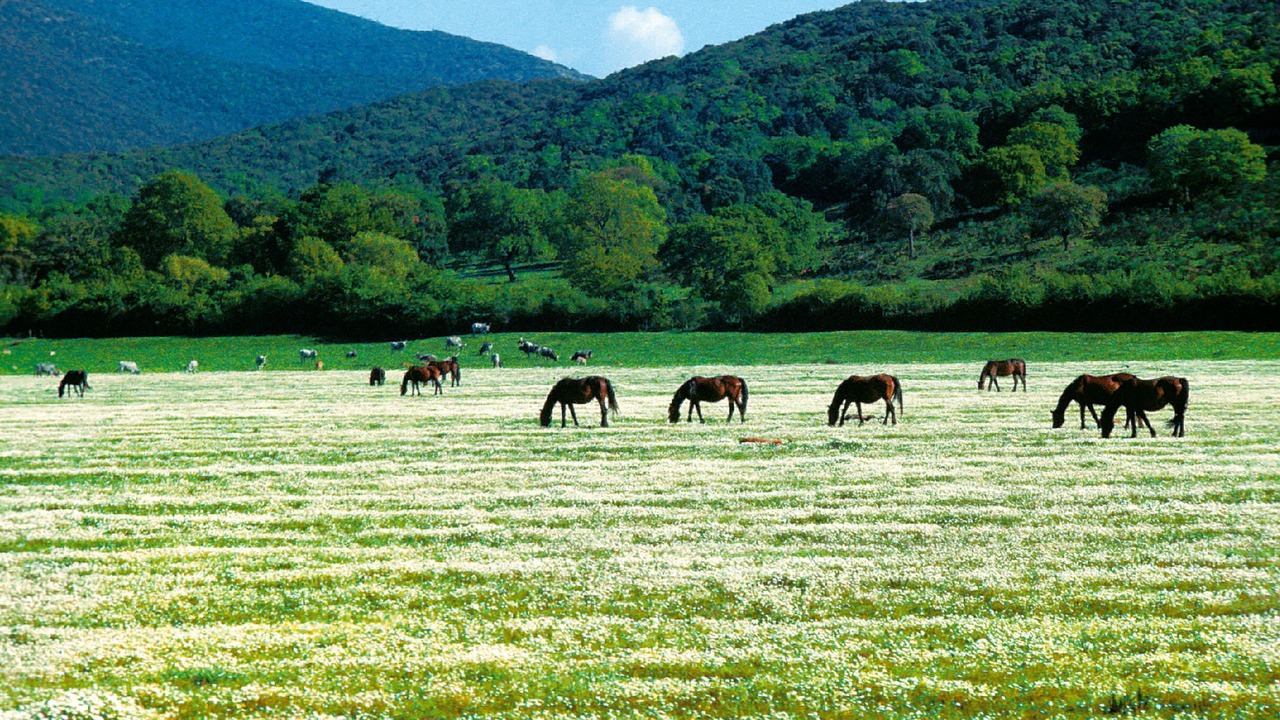 Photo of Outdoor in Alberese