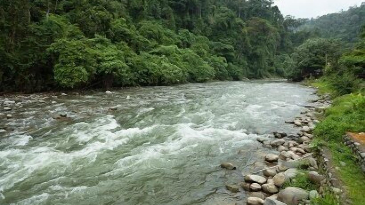 Photo of Outdoor in Bukit Lawang