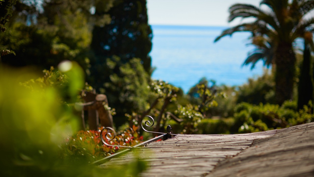 Photo of Patio Balcony in Le Rayol