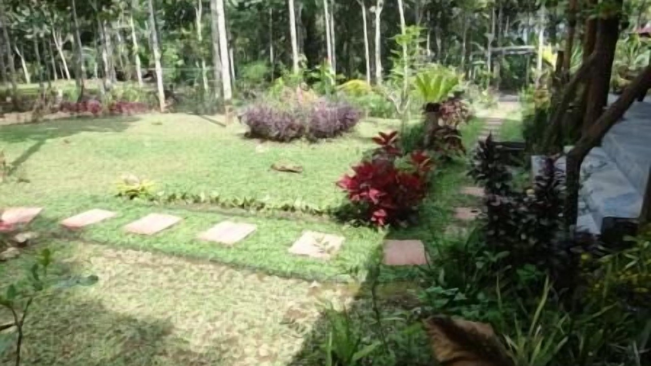 Photo of Outdoor in Nungnung