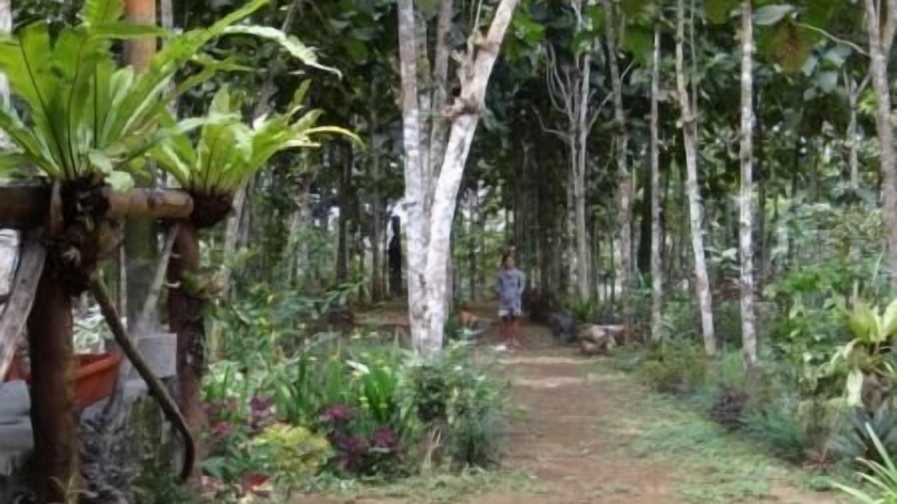 Photo of Outdoor in Nungnung