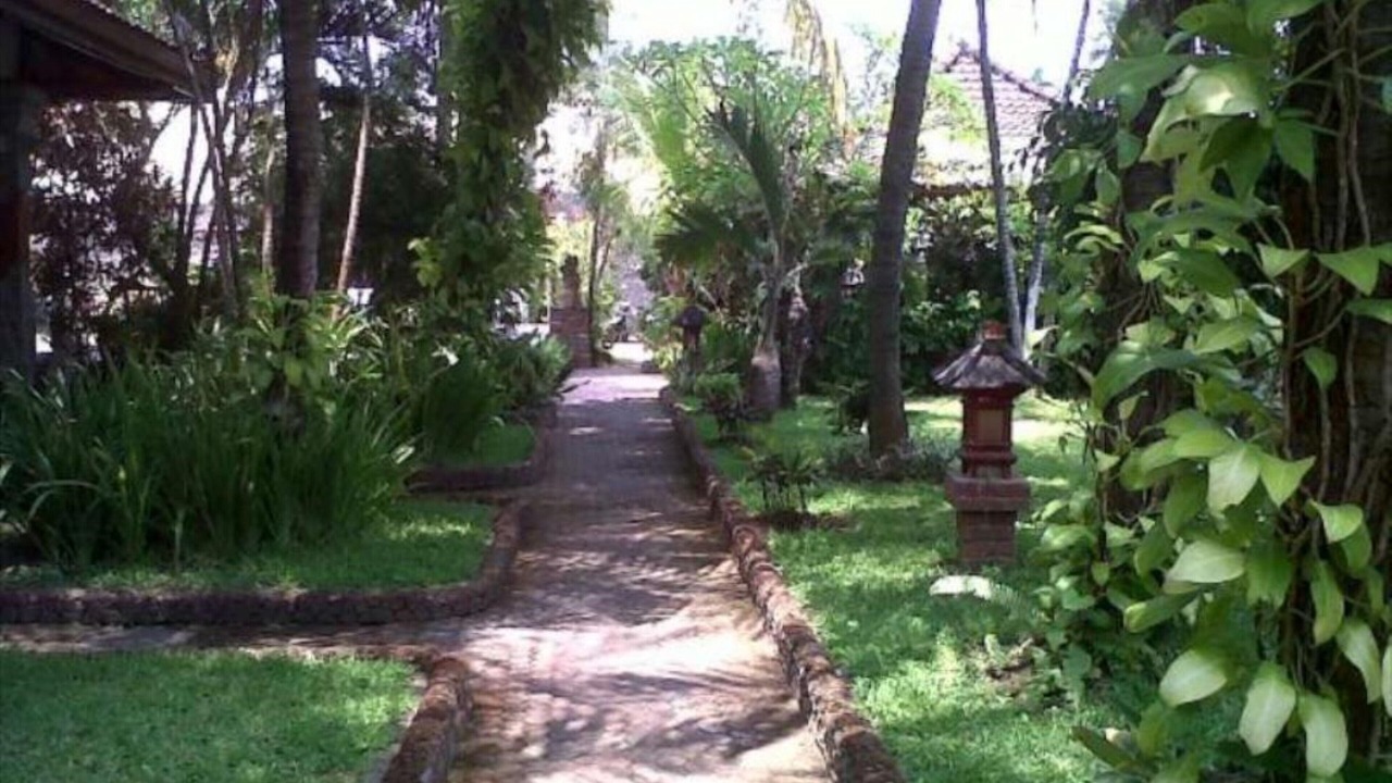 Photo of Outdoor in Lovina
