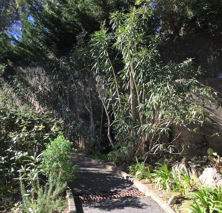 Photo of Outdoor in La Croix-Valmer