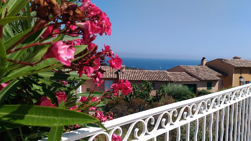 Photo of Patio Balcony in Plage de la Garonnette