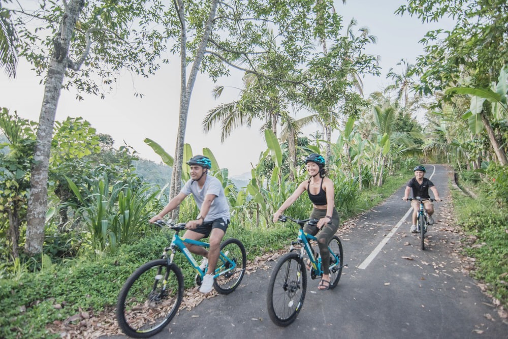 Photo of Outdoor in Payangan