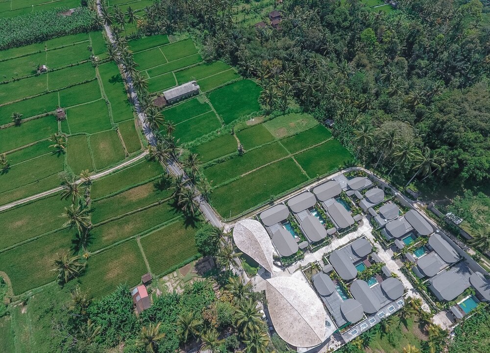 Photo of Outdoor in Payangan