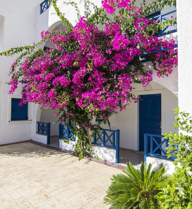 Photo of Outdoor in Perivolos