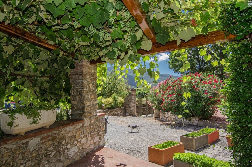 Photo of Outdoor in San Lorenzo a Vaccoli