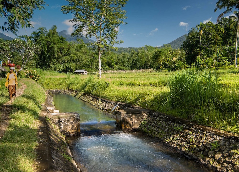 Photo of Outdoor in Cemagi