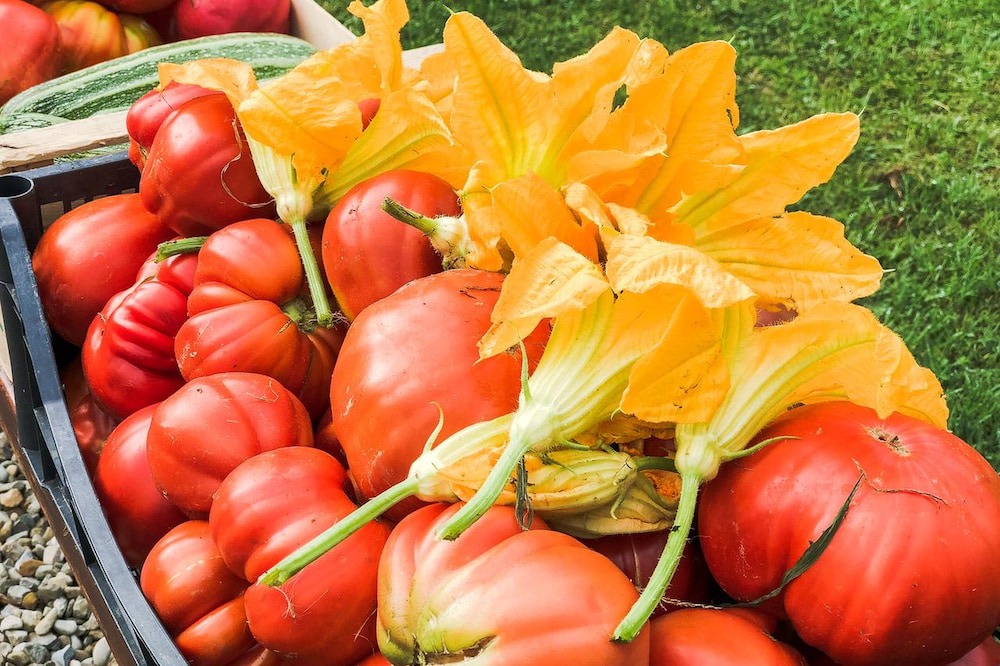 Photo of Others in Reggello