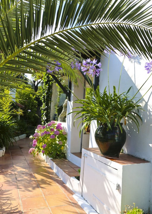 Photo of Others in Saint-Tropez