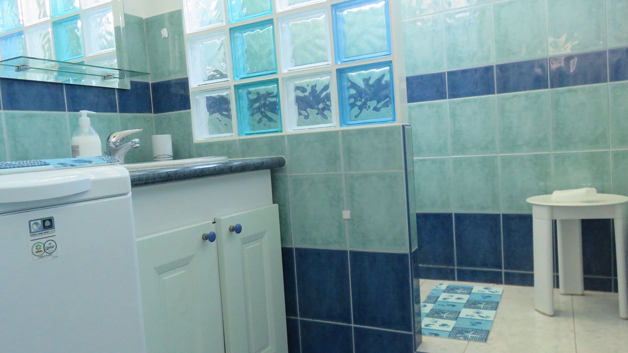 Photo of Bathroom in Saint-Sylvestre