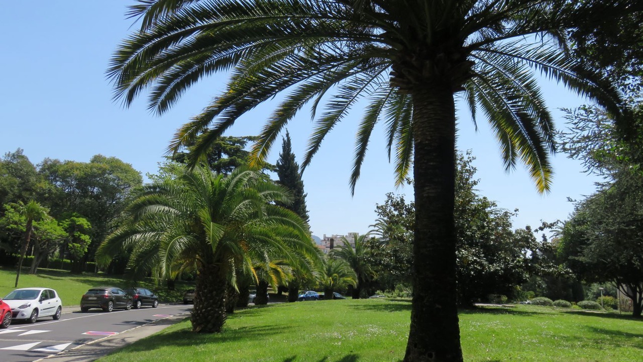 Photo of Outdoor in Saint-Sylvestre