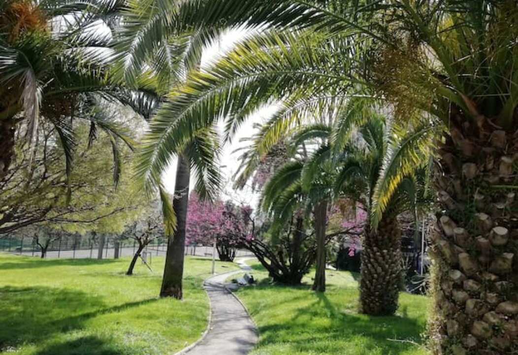 Photo of Outdoor in Saint-Sylvestre