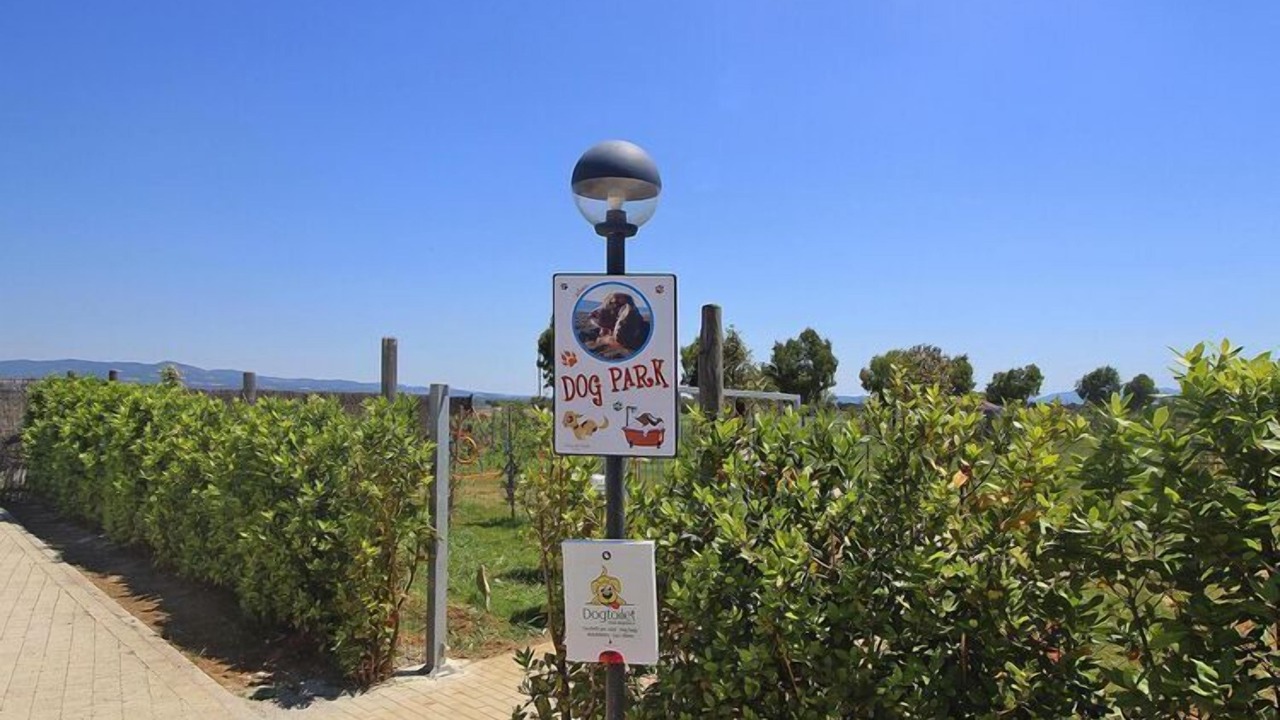 Photo of Outdoor in Vada