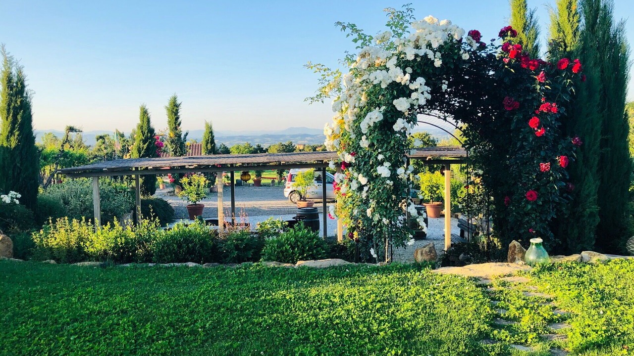 Photo of Outdoor in Montaione