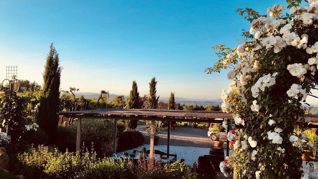 Photo of Outdoor in Montaione