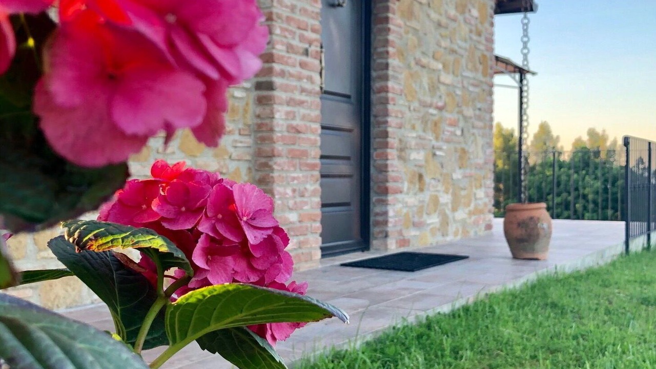 Photo of Outdoor in Montaione
