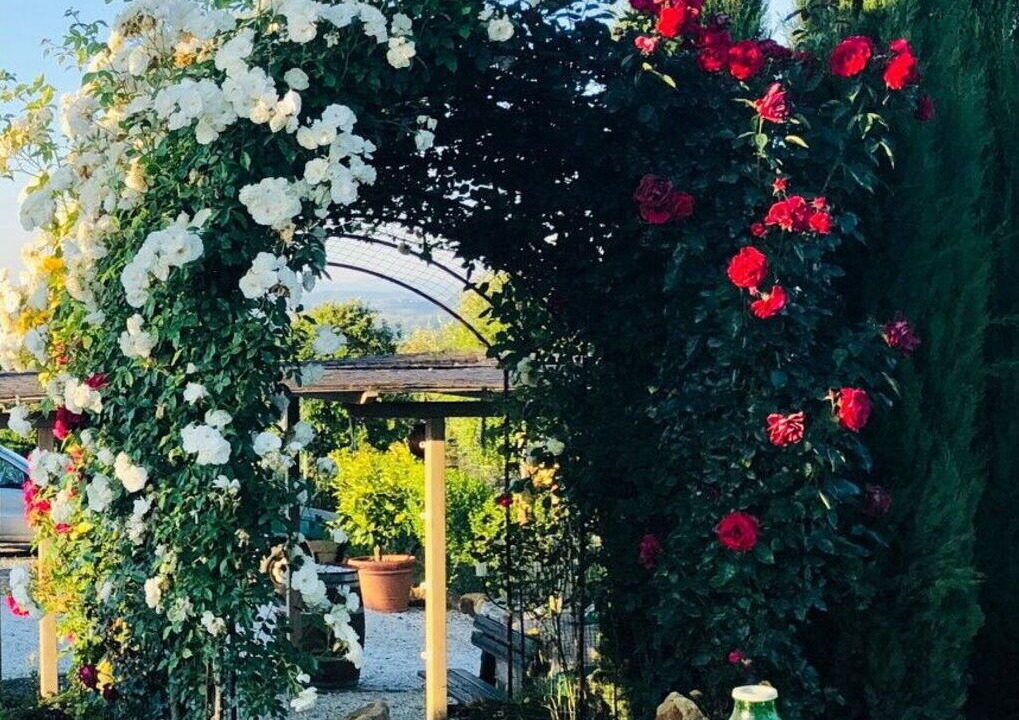 Photo of Outdoor in Montaione