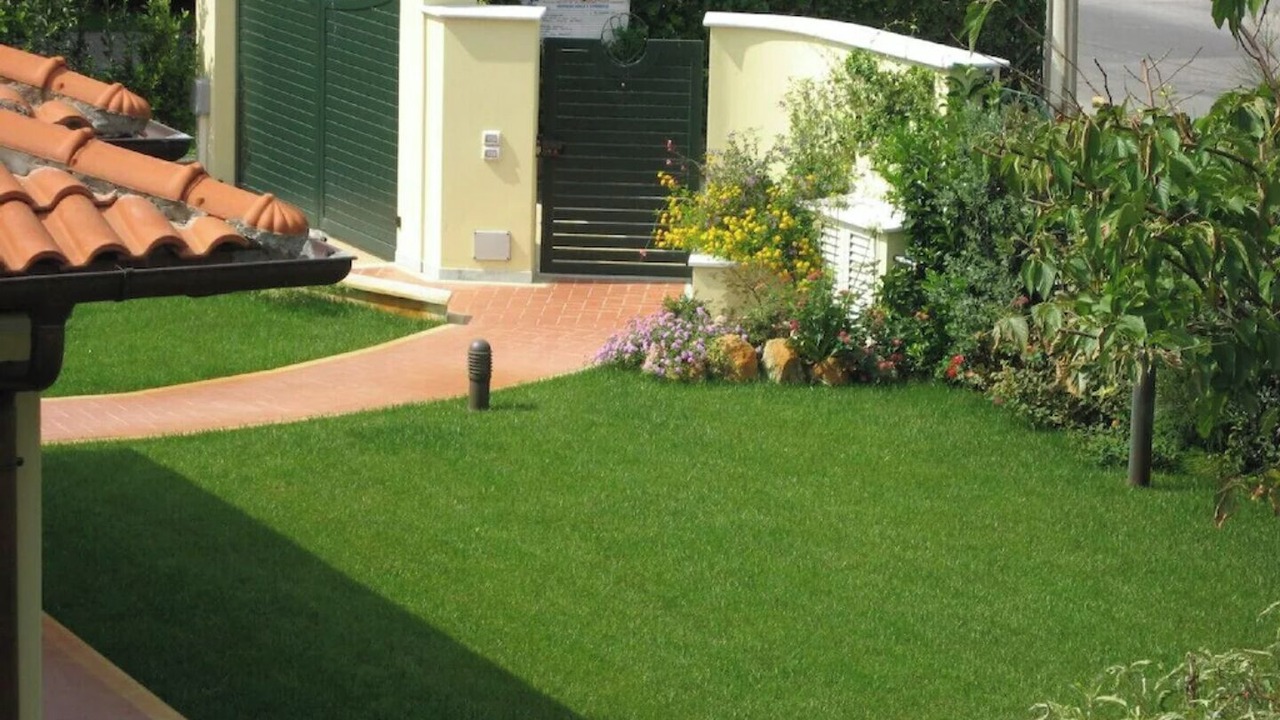 Photo of Outdoor in Pietrasanta