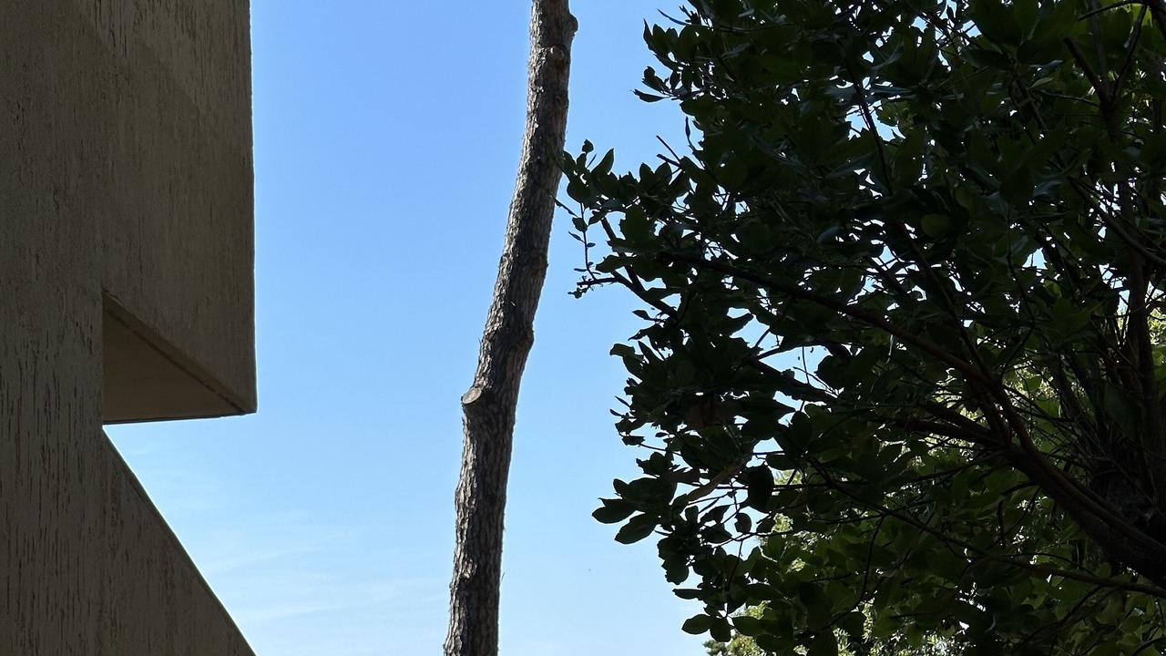 Photo of Outdoor in Puntone di Scarlino