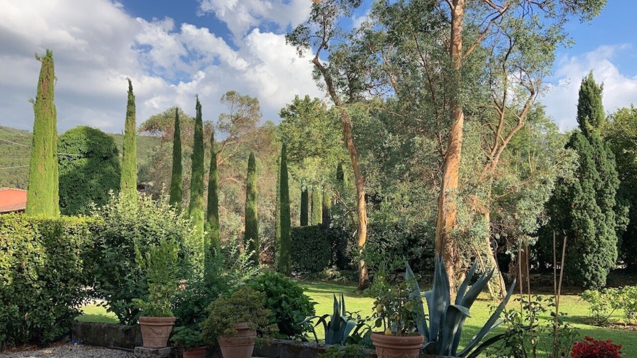 Photo of Outdoor in Vorno