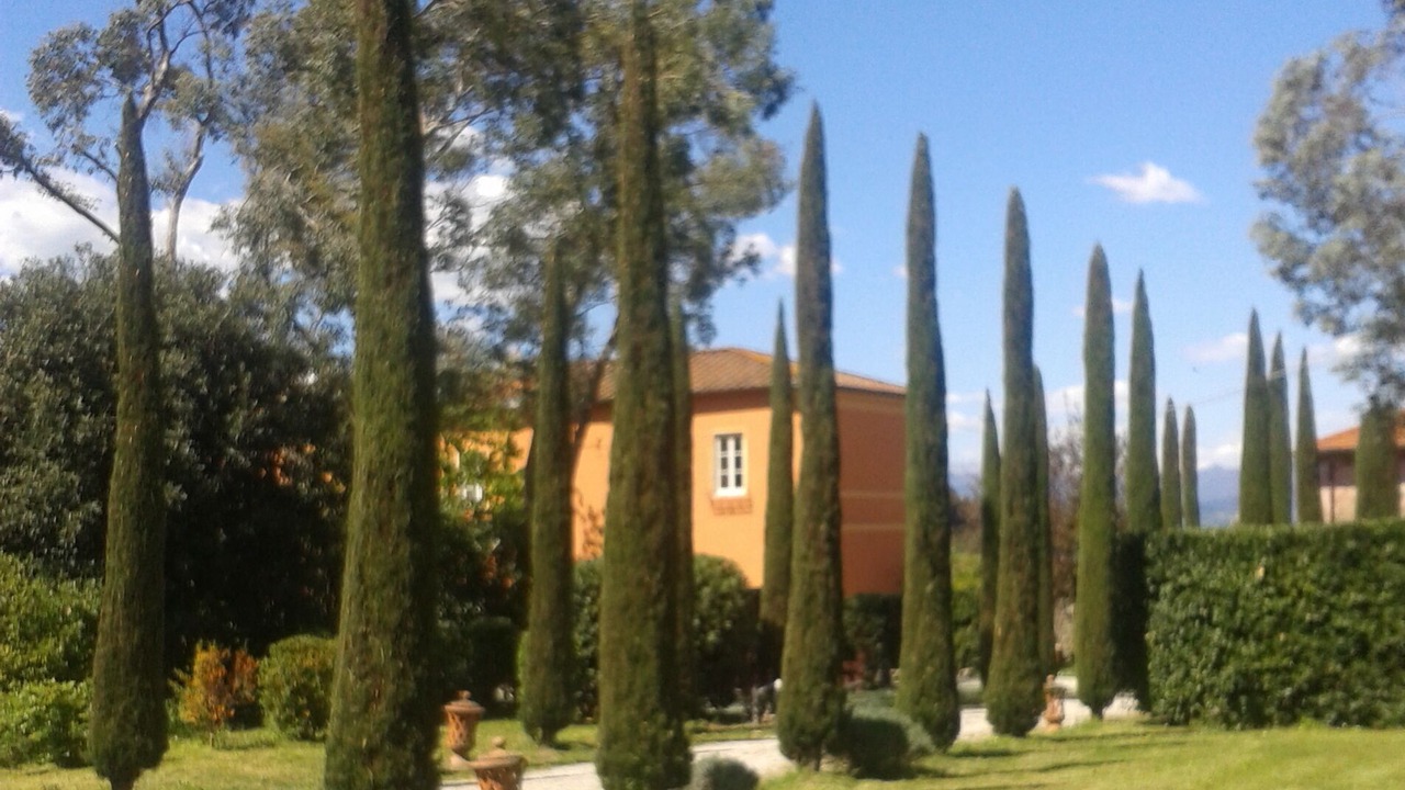 Photo of Outdoor in Vorno