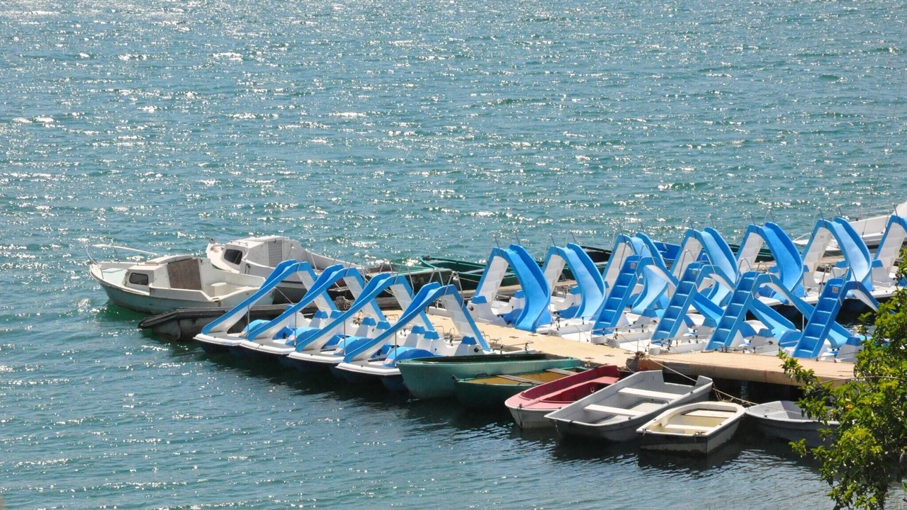 Photo of Others in Fayence