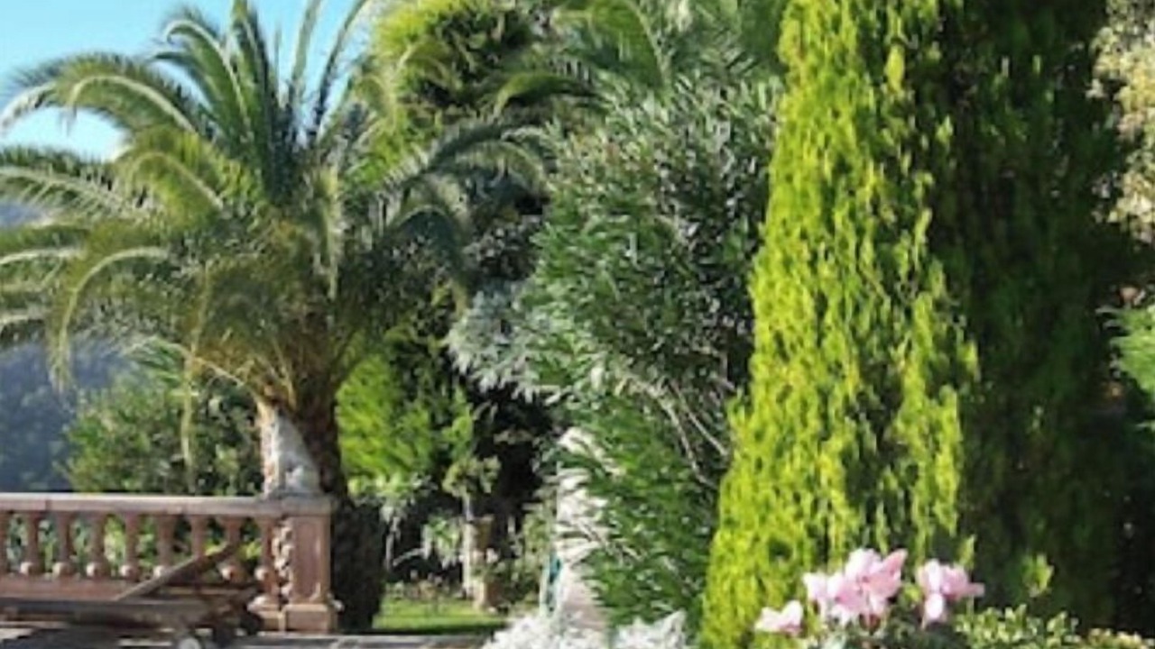 Photo of Outdoor in Eze