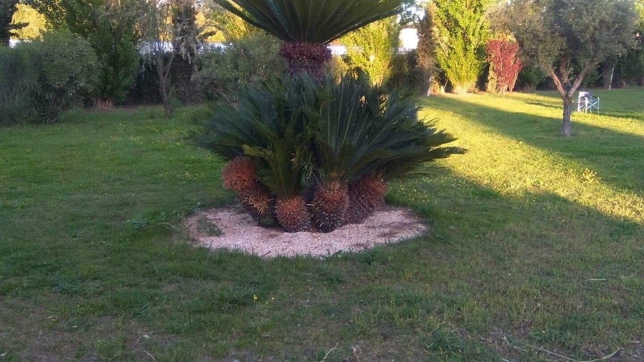 Photo of Outdoor in Lido di Camaiore