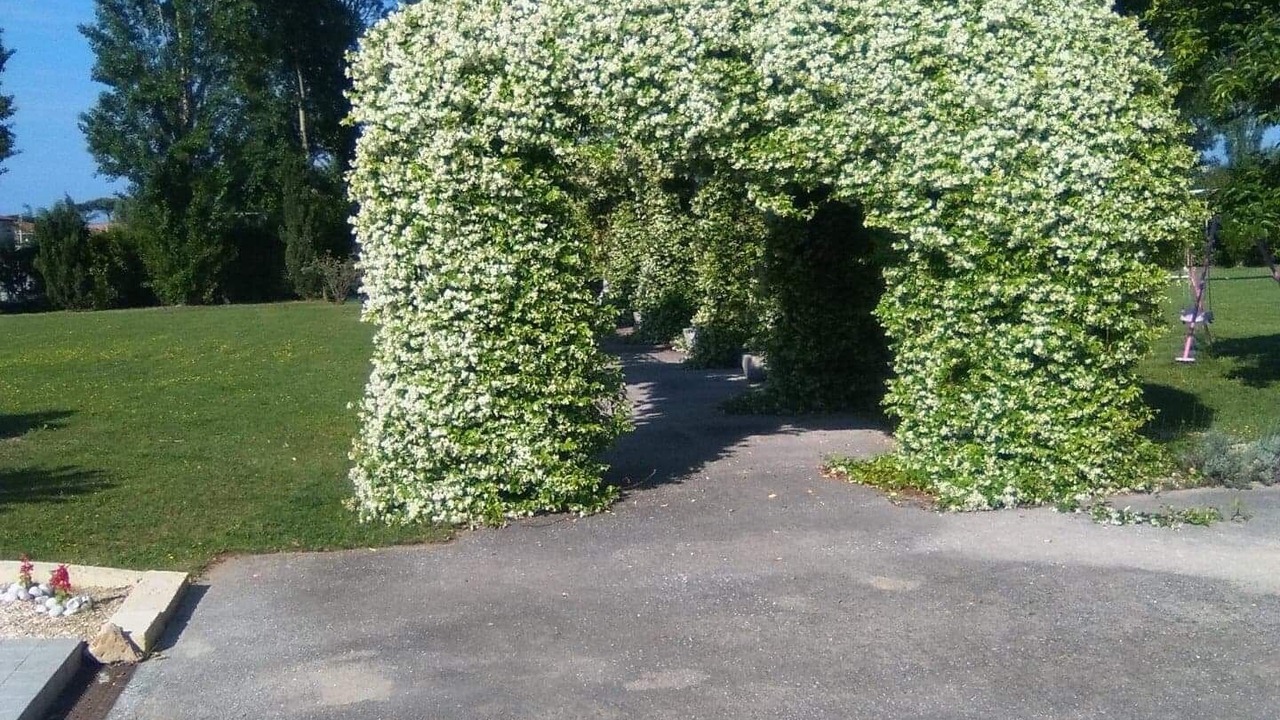 Photo of Outdoor in Lido di Camaiore