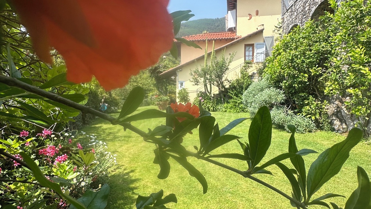 Photo of Outdoor in Forte dei Marmi