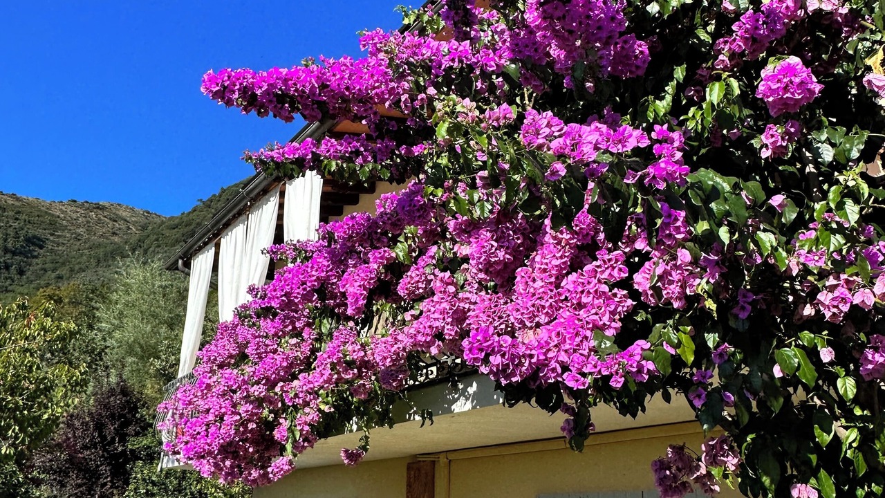 Photo of Outdoor in Forte dei Marmi